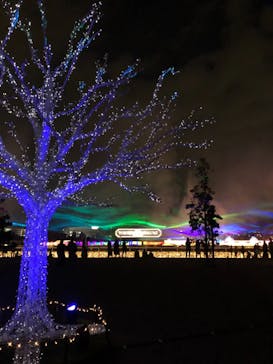 東京メガイルミに投稿された画像（2021/10/30）