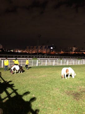 東京メガイルミに投稿された画像（2021/10/30）