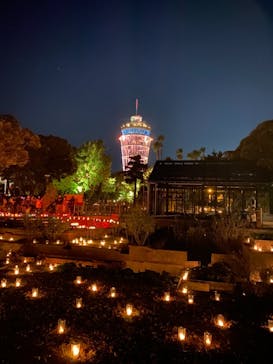 江の島シーキャンドルに投稿された画像（2021/10/30）