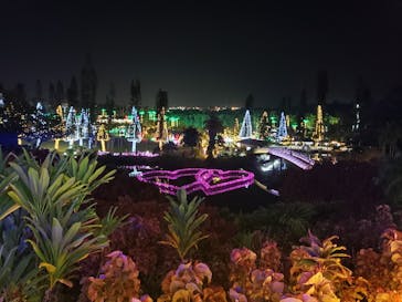 美らヤシパークオキナワ・東南植物楽園に投稿された画像（2021/10/30）