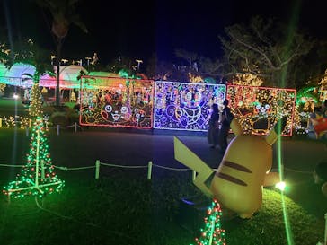 美らヤシパークオキナワ・東南植物楽園に投稿された画像（2021/10/30）