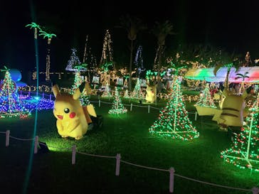 美らヤシパークオキナワ・東南植物楽園に投稿された画像（2021/10/30）