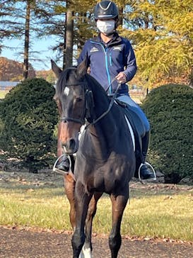 ノーザンホースパークに投稿された画像（2021/10/30）