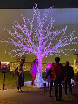 東京メガイルミに投稿された画像（2021/10/30）