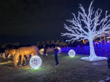 東京メガイルミに投稿された画像（2021/10/30）