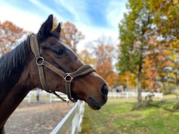 ノーザンホースパークに投稿された画像（2021/10/30）