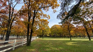 ノーザンホースパークに投稿された画像（2021/10/30）