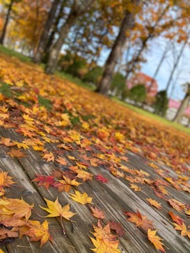 ノーザンホースパークに投稿された画像（2021/10/30）