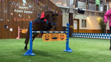 ノーザンホースパークに投稿された画像（2021/10/30）