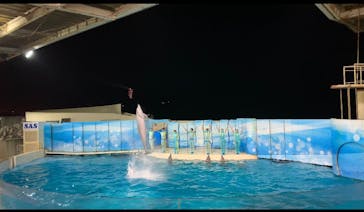 新江ノ島水族館に投稿された画像（2021/10/30）