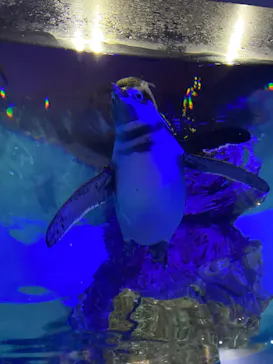 すみだ水族館に投稿された画像（2021/10/30）