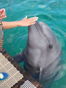 南知多ビーチランド＆南知多おもちゃ王国に投稿された画像（2021/10/30）