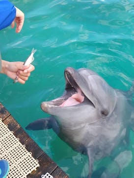 南知多ビーチランド＆南知多おもちゃ王国に投稿された画像（2021/10/30）