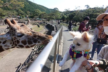 伊豆アニマルキングダムに投稿された画像（2021/10/31）