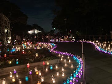 江の島シーキャンドルに投稿された画像（2021/10/31）