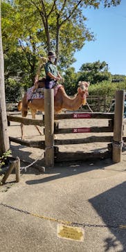 よこはま動物園ズーラシアに投稿された画像（2021/10/31）