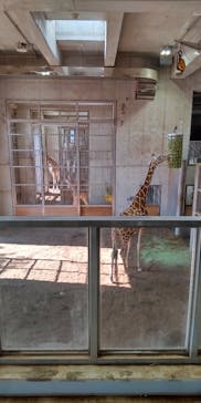 よこはま動物園ズーラシアに投稿された画像（2021/10/31）