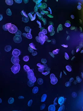 すみだ水族館に投稿された画像（2021/10/31）