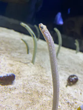 すみだ水族館に投稿された画像（2021/10/31）