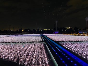 東京メガイルミに投稿された画像（2021/10/31）