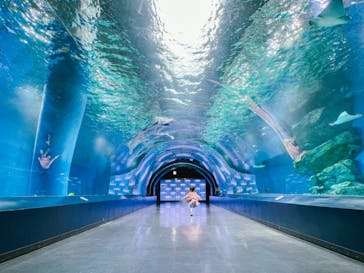 マクセル アクアパーク品川に投稿された画像（2021/10/31）