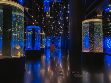 マクセル アクアパーク品川に投稿された画像（2021/10/31）