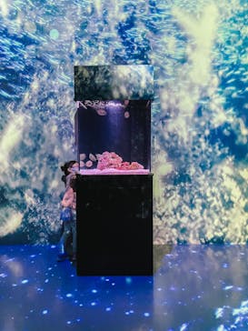 マクセル アクアパーク品川に投稿された画像（2021/10/31）