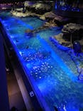 すみだ水族館に投稿された画像（2021/10/31）