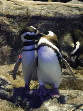 すみだ水族館に投稿された画像（2021/10/31）