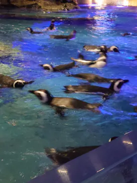 すみだ水族館に投稿された画像（2021/10/31）