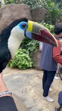 神戸どうぶつ王国に投稿された画像（2021/10/31）