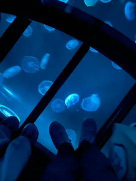 すみだ水族館に投稿された画像（2021/10/31）