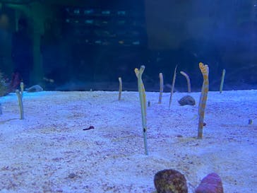 名古屋港水族館に投稿された画像（2021/10/31）