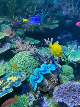 サンシャイン水族館に投稿された画像（2021/10/31）