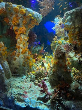 サンシャイン水族館に投稿された画像（2021/10/31）