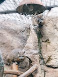天王寺動物園に投稿された画像（2021/10/31）