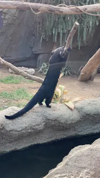 神戸どうぶつ王国に投稿された画像（2021/10/31）