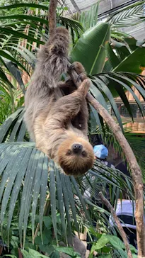 神戸どうぶつ王国に投稿された画像（2021/10/31）