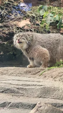 神戸どうぶつ王国に投稿された画像（2021/10/31）
