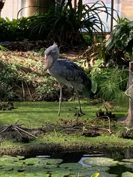 神戸どうぶつ王国に投稿された画像（2021/10/31）