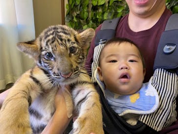 しろとり動物園に投稿された画像（2021/10/31）