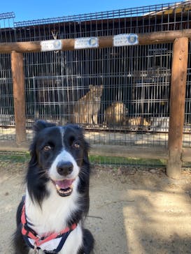 しろとり動物園に投稿された画像（2021/10/31）