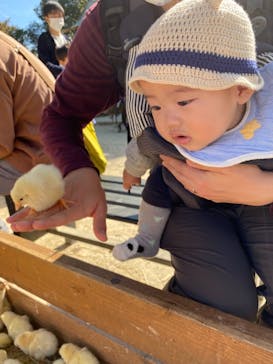 しろとり動物園に投稿された画像（2021/10/31）