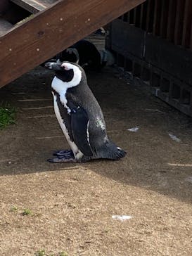 名古屋港水族館に投稿された画像（2021/10/31）