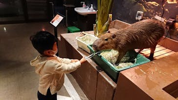 Moff animal world MARK IS みなとみらい店に投稿された画像（2021/10/31）