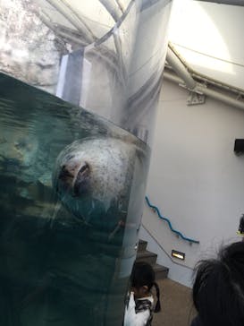 京都水族館に投稿された画像（2021/10/31）