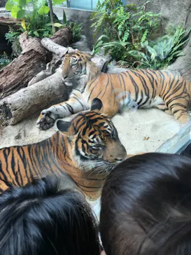 神戸どうぶつ王国に投稿された画像（2021/10/31）