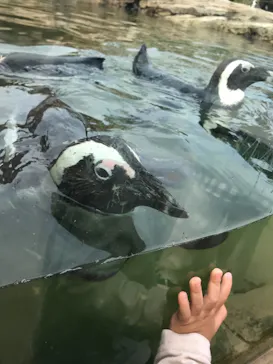 神戸どうぶつ王国に投稿された画像（2021/10/31）