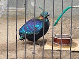天王寺動物園に投稿された画像（2021/10/31）