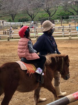 成田ゆめ牧場に投稿された画像（2021/10/31）